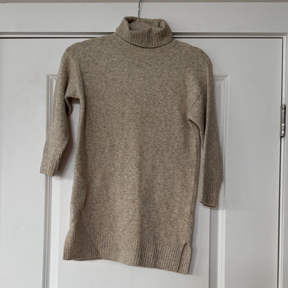 Zara Oatmeal Turtleneck Sweater Dress